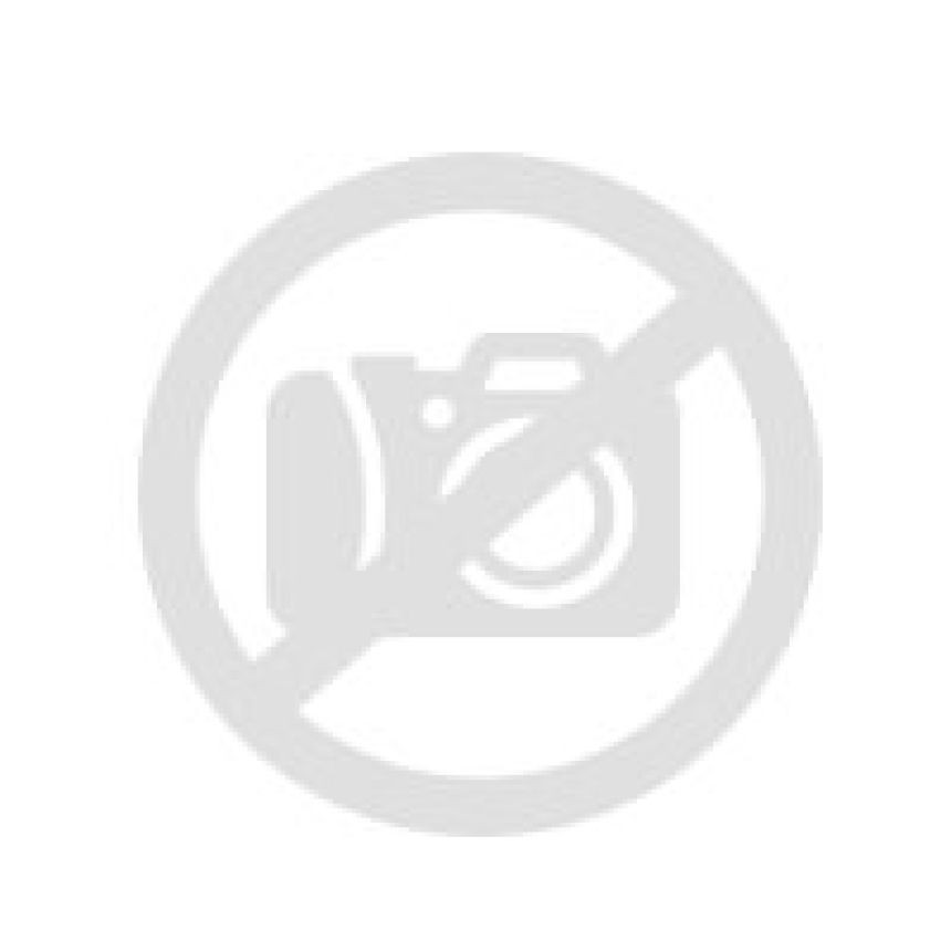 Vanhawk 2 Winter Evo 205 65 R16C 107 105T 8PR Enliten 205/65-16 T
